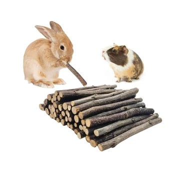 1000g Professional Hamster Rabbit Teeth Grinding Apple Tree Chew Stick Minerals Molar Stone Toys For Chinchilla Small Animal Toy